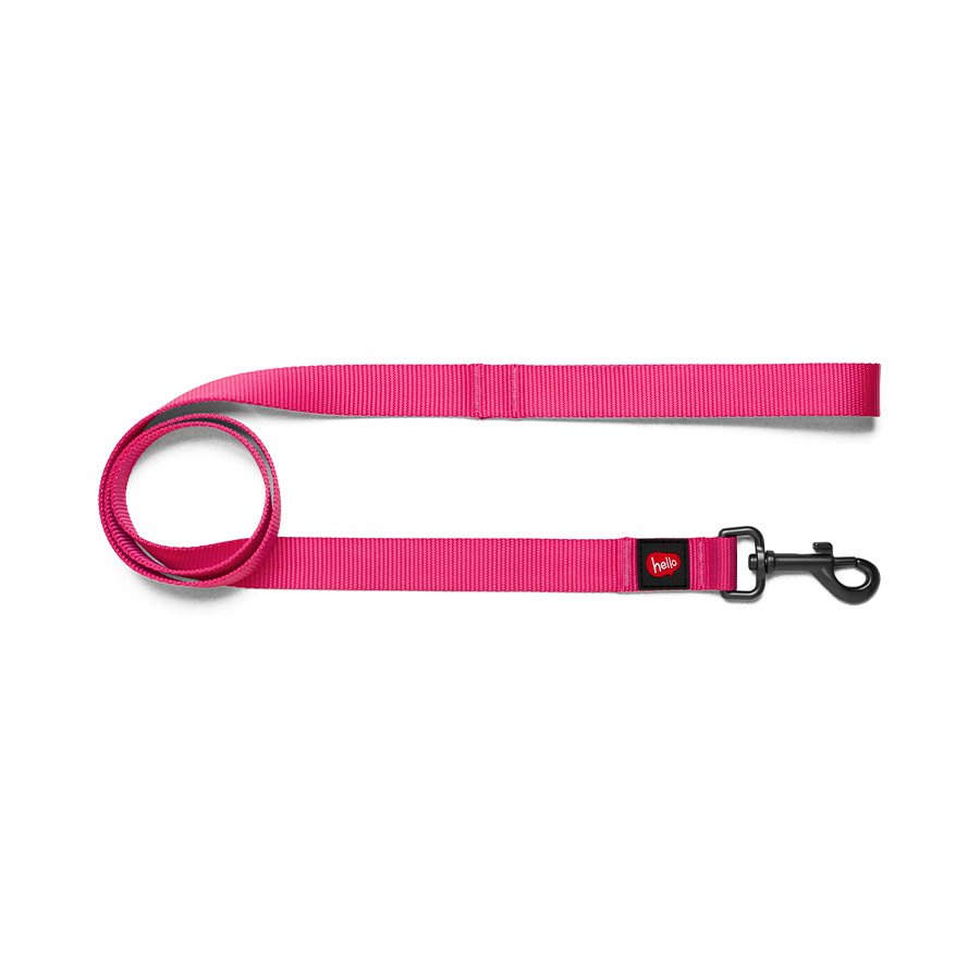 Guia Hello Rosa para Cães