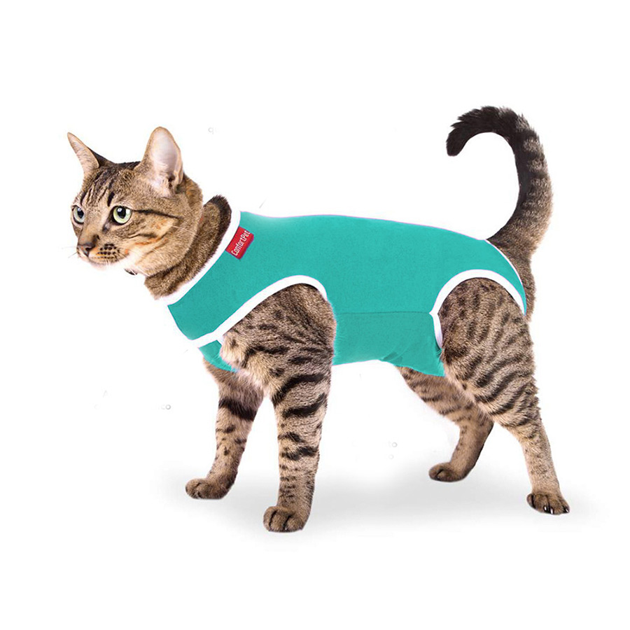 Roupa Cirúrgica Confortpet Tradicional Verde para Gatos
