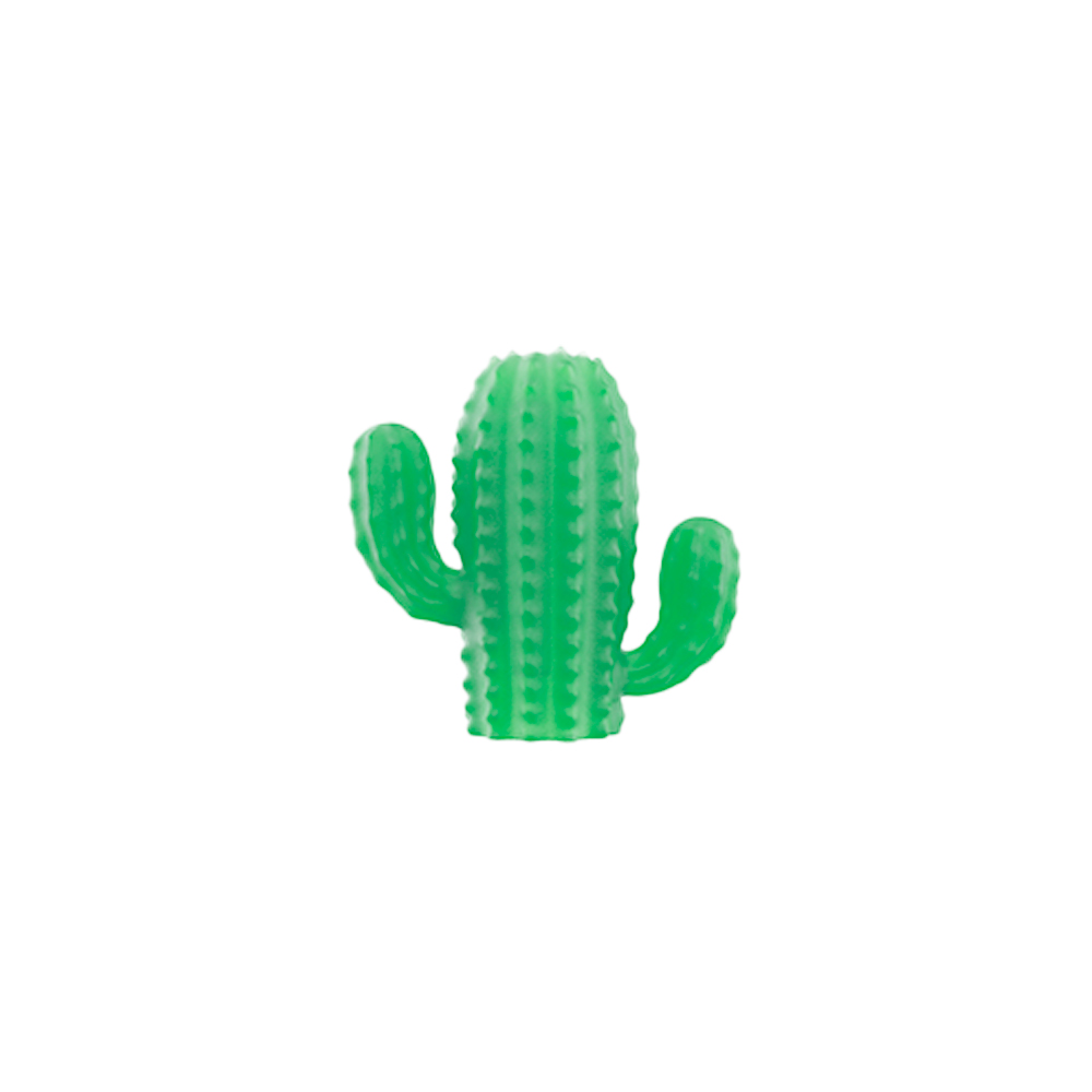Zee.Pinz Cacto