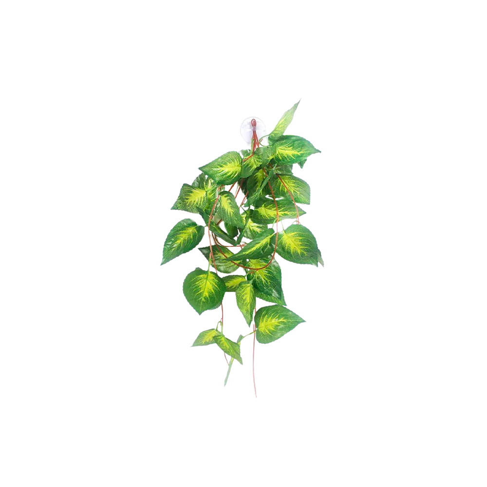 Planta Nomoypet Jiboia de Plástico com Ventosa Verde para Répteis