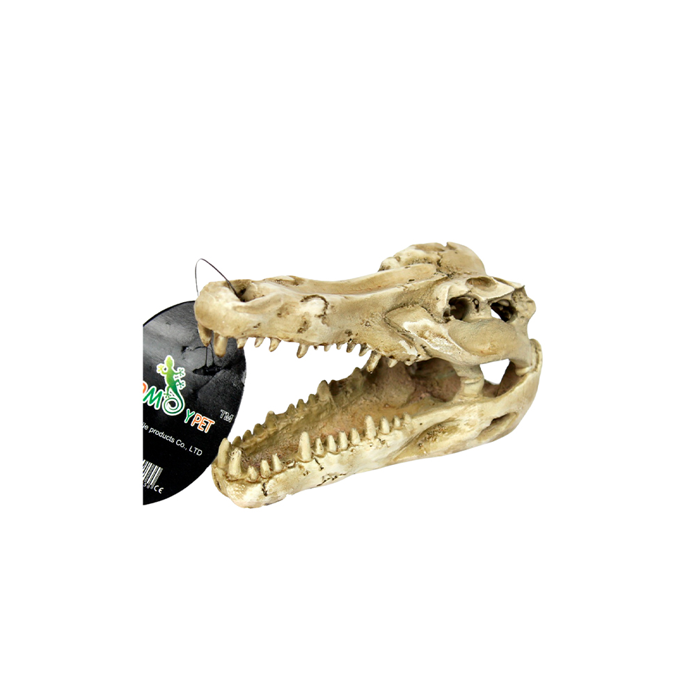 Enfeite Nomoypet Crânio Crocodilo NS-60 para Répteis