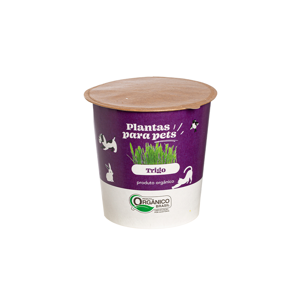Graminha para Pets Veiling Holambra Trigo Ornamental 60 g