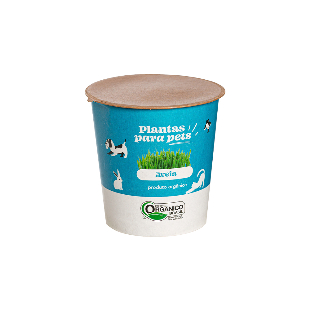 Graminha para Pets Veiling Holambra Aveia Ornamental 60 g