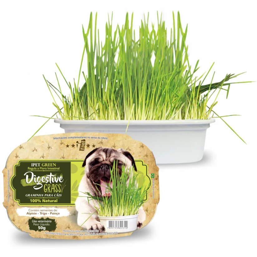 Graminha para Cães Green Digestive Grass Ipet 50g