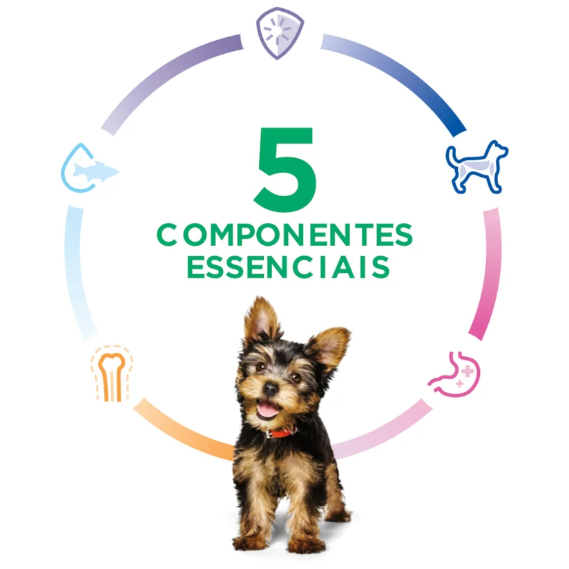Ração Hill s Science Diet Cães Filhotes Small & Mini 2,04kg