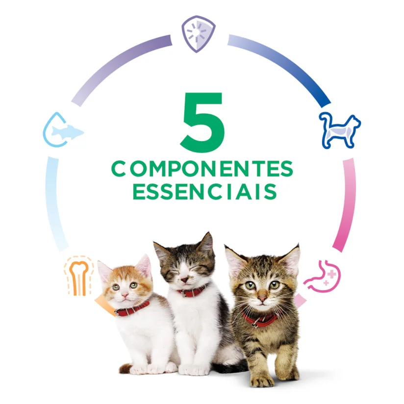 Ração Hill s Science Diet Gatos Filhotes 7,03kg