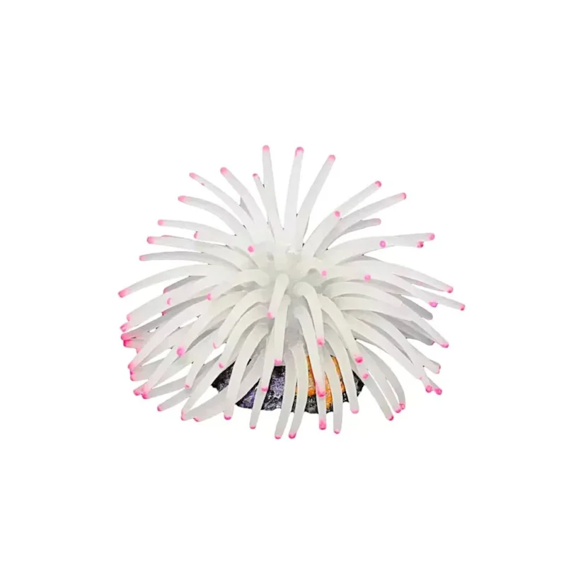 Enfeite de Silicone Anêmona Short Branco Soma 6 Unidades