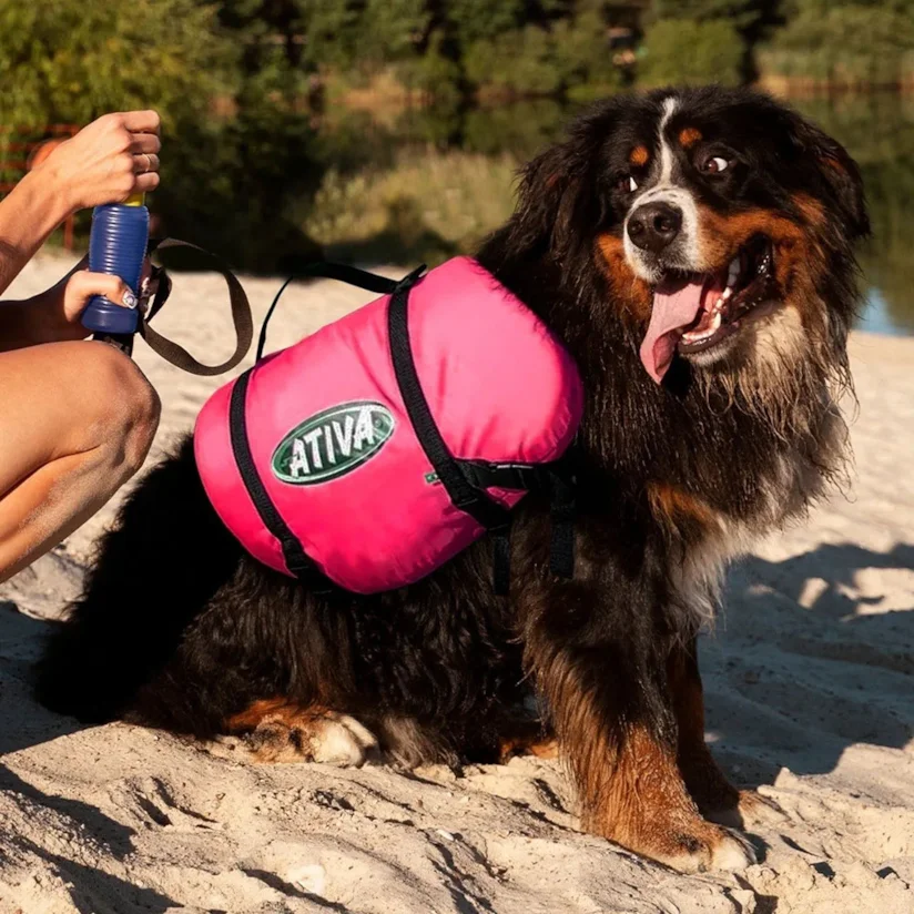 Colete Salva Vidas Pet Vest Ativa Rosa M