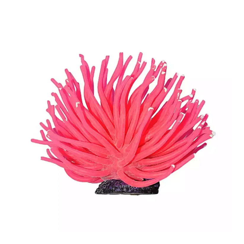 Enfeite de Silicone Anêmona Short Rosa Soma 6 Cm